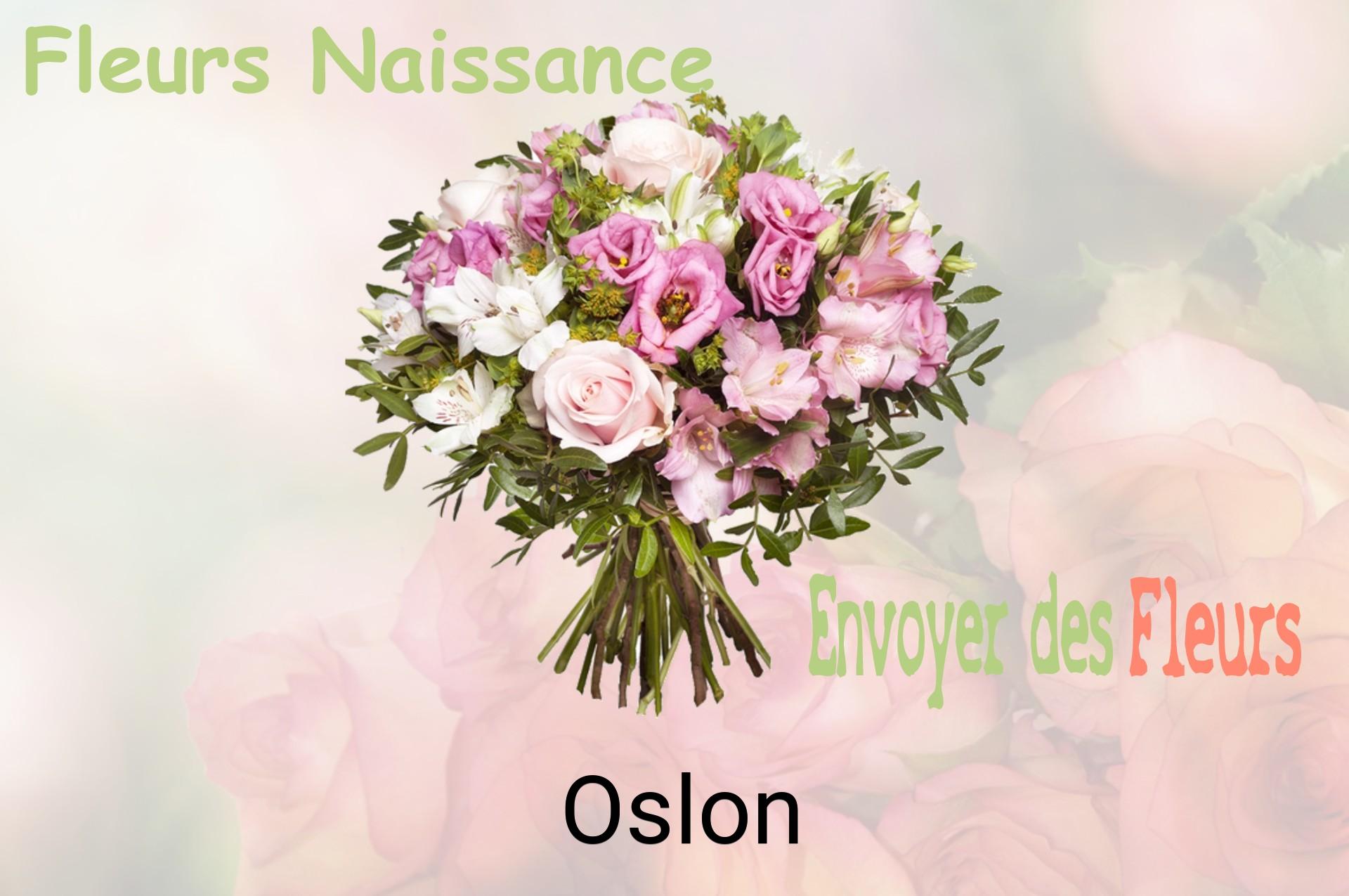 Bouquet de fleurs de naissance livré à Oslon