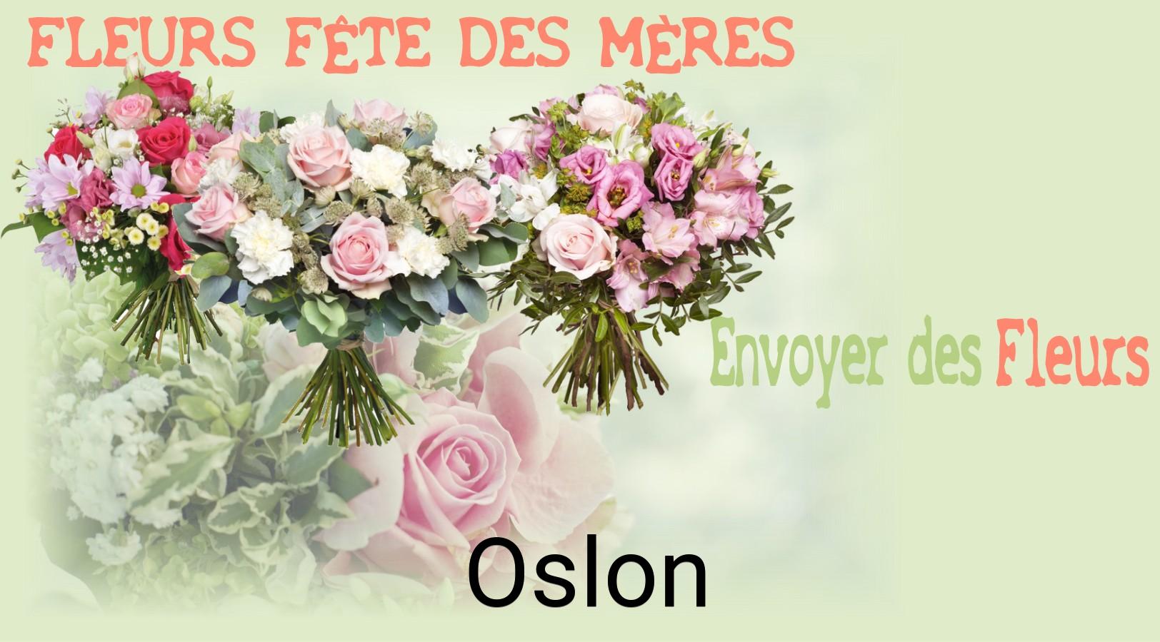 Bouquet de Fête des Mères livré à Oslon